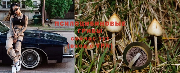 дживик Верея