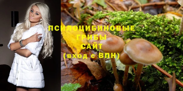 гидра Верхнеуральск
